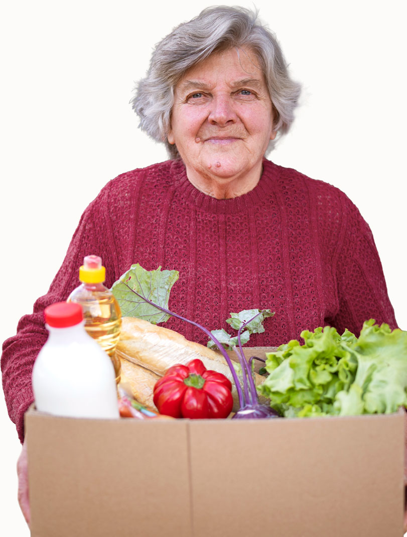 carryingthevisionmobile2